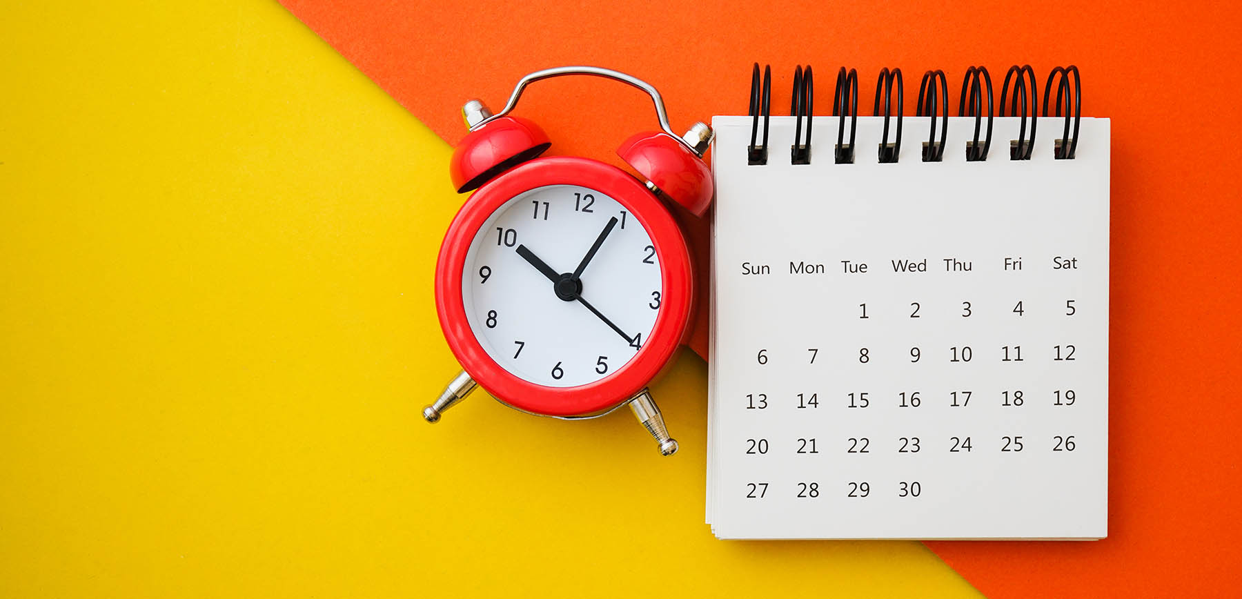 vernon gymnastix ninja fitness academy opening hours